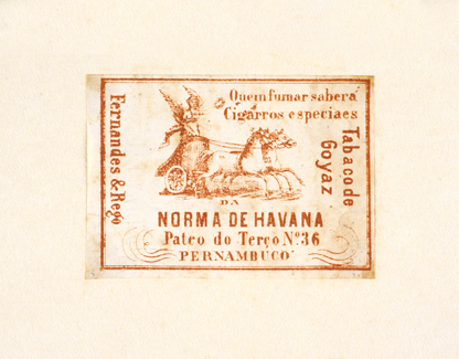 vizualizar o documento on line